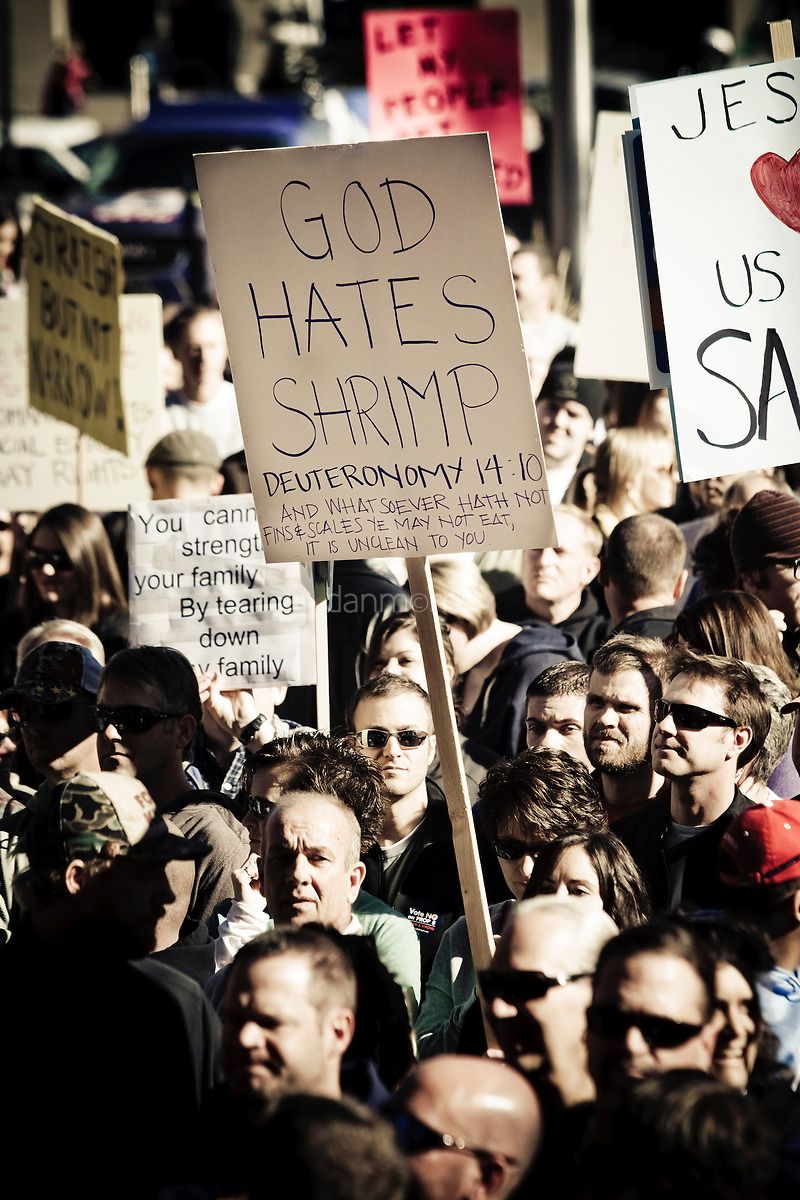 Photo By: Dan Morris Protester holds sign at a rally in Salt Lake City protesting the California Prop 8 Decision, Nov 15, 2008 (Dan Morris)