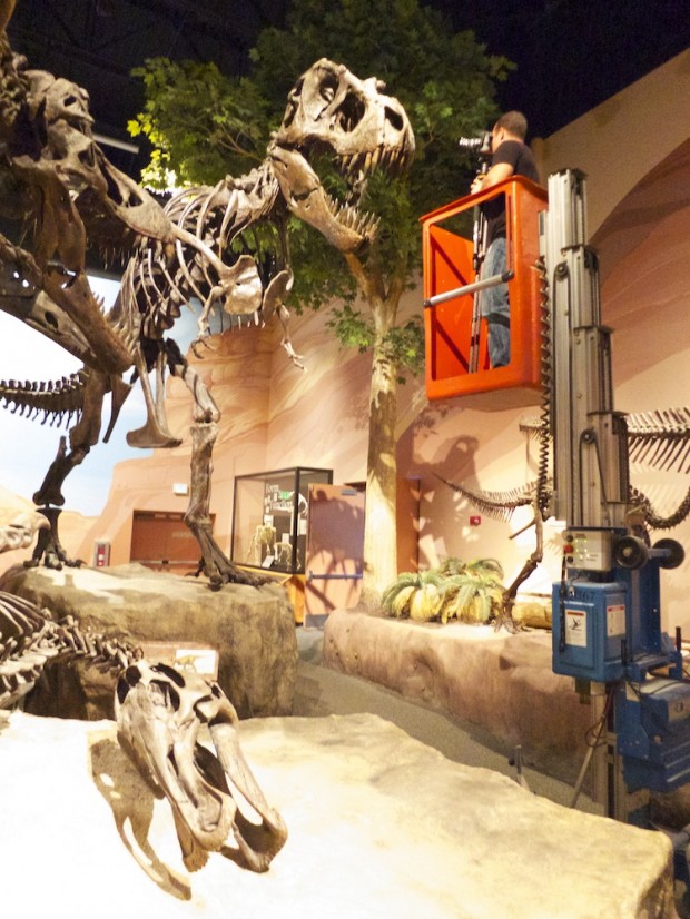 Dan Morris Photographing Tyrannosaur from portable elevator